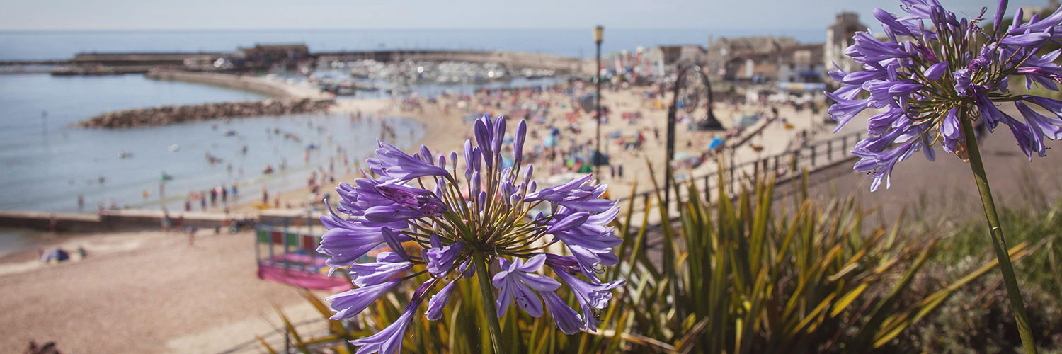 seaside photograph of Lyme Regis